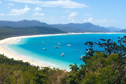 Whitehaven Beach And Hill Inlet | Awesome Beach BBQ | Family Friendly - Holiday Byron Bay 7
