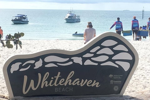 Whitehaven Beach And Hill Inlet | Awesome Beach BBQ | Family Friendly - Holiday Byron Bay 9