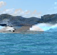 Whitsundays Whale Watching Cruise from Airlie Beach