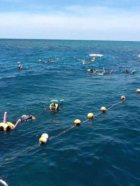 Quicksilver Outer Great Barrier Reef Snorkel Cruise From Port Douglas - Holiday Byron Bay 2