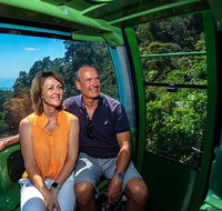 Skyrail Rainforest Cableway Day Trip from Palm Cove