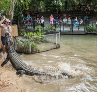 Hartley's Crocodile Adventures General Entry Ticket