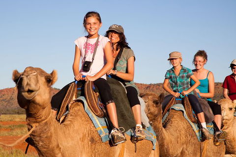 Alice Springs Camel Tour - Holiday Byron Bay 1