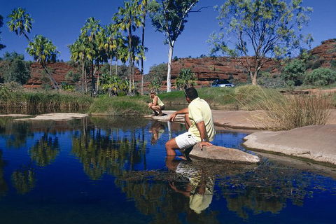 Palm Valley 4WD Tour - Holiday Byron Bay 0