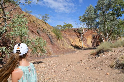 West MacDonnell Ranges Small-Group Full-Day Guided Tour - Holiday Byron Bay 2