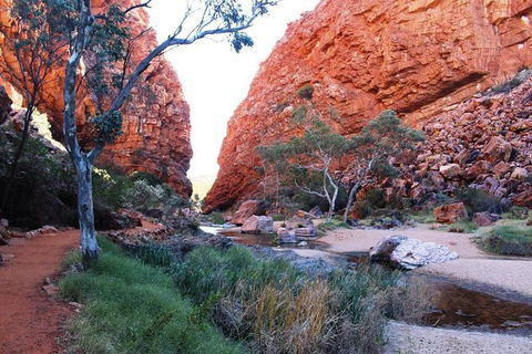 Half Day MacDonnell Ranges Small Group - Private Guided Tour - Holiday Byron Bay 0