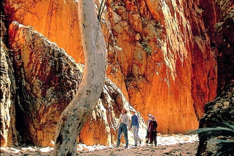 West MacDonnell Ranges Day Trip From Alice Springs - Holiday Byron Bay 7