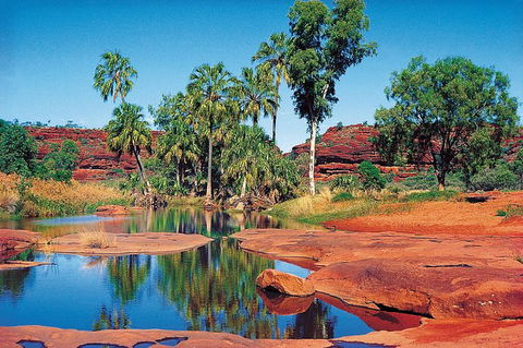 Palm Valley 4WD Tour From Alice Springs - Holiday Byron Bay 1