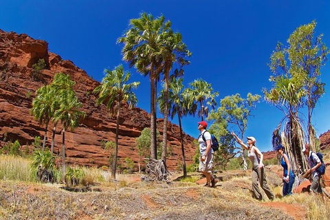 Palm Valley 4WD Tour From Alice Springs - Holiday Byron Bay 0