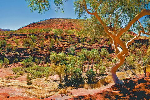 Palm Valley 4WD Tour From Alice Springs - Holiday Byron Bay 6