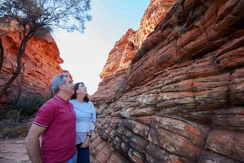 3-Day Alice Springs To Uluru (Ayers Rock) Via Kings Canyon Tour - Holiday Byron Bay 17