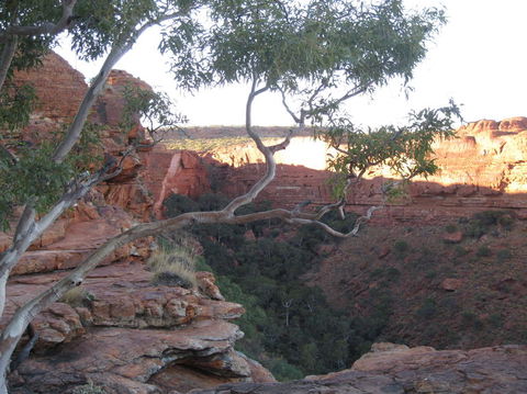3-Day Uluru And Kings Canyon Camping Experience From Alice Springs Including Outback BBQ Dinner - Holiday Byron Bay 1