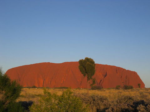 3-Day Uluru And Kings Canyon Camping Experience From Alice Springs Including Outback BBQ Dinner - Holiday Byron Bay 4
