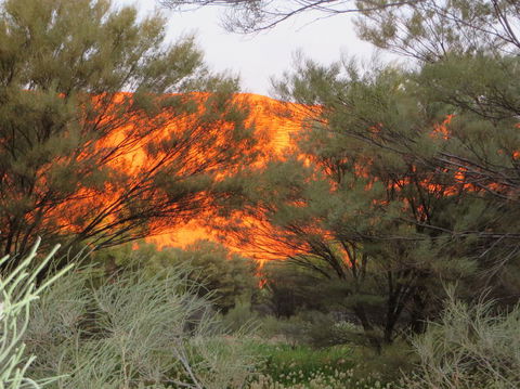 3-Day Ayers Rock, Olgas And Kings Canyon Camping Safari - Holiday Byron Bay 6