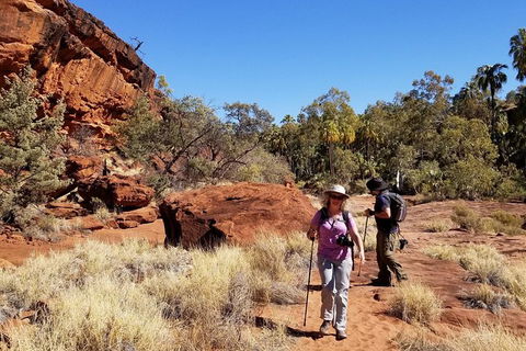 Palm Valley And Hermannsburg 1 Day 4WD Tour - Holiday Byron Bay 5