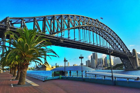 Half Day In Sydney With A Local: Private & Personalized - Holiday Byron Bay 10