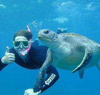 3-Hour Sea Turtle Snorkeling Experience in Byron Bay - Holiday Byron Bay