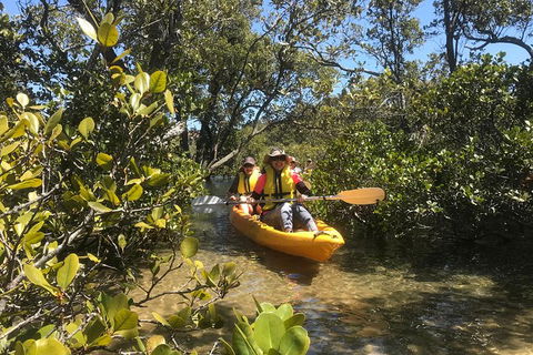 Paddle In Paradise - 4 Hours Double Kayak Hire - Holiday Byron Bay 1