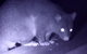 Byron Bay Night Vision Walk - thumb 1
