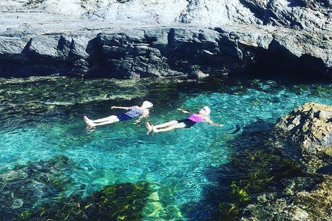 Batemans Bay Full Day Sea Kayak Tour With Beach Picnic Lunch - Holiday Byron Bay 6