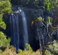 Byron Bay Hinterland Tour Including Rainforest Walk to Minyon Falls - Holiday Byron Bay