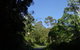 Mount Warning Day Trip From Byron Bay Including BBQ Lunch - thumb 6