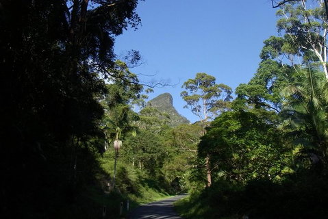 Mount Warning Day Trip From Byron Bay Including BBQ Lunch - Holiday Byron Bay 6