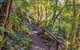 Mount Warning Day Trip From Byron Bay Including BBQ Lunch - thumb 9