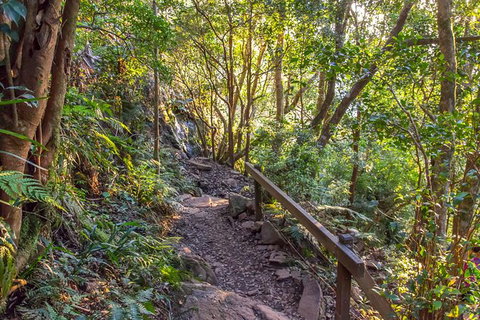 Mount Warning Day Trip From Byron Bay Including BBQ Lunch - Holiday Byron Bay 9