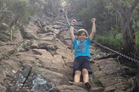 Mount Warning Day Trip From Byron Bay Including BBQ Lunch - Holiday Byron Bay 8