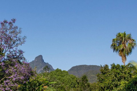 Mount Warning Day Trip From Byron Bay Including BBQ Lunch - Holiday Byron Bay 3