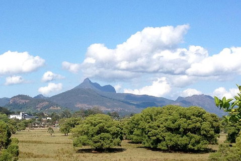 Mount Warning Day Trip From Byron Bay Including BBQ Lunch - Holiday Byron Bay 7