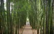 Byron Bay And Beyond Tour Including Cape Bryon Lighthouse Crystal Castle And Bangalow - thumb 15