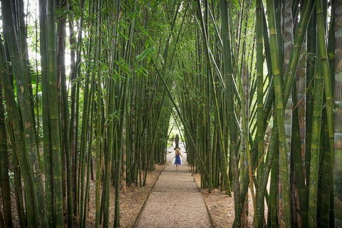 Byron Bay And Beyond Tour Including Cape Bryon Lighthouse Crystal Castle And Bangalow - Holiday Byron Bay 15