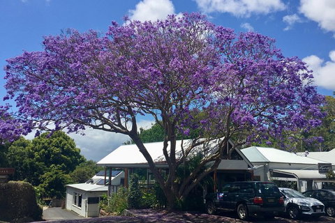 Byron Bay And Beyond Tour Including Cape Bryon Lighthouse Crystal Castle And Bangalow - Holiday Byron Bay 3