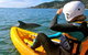 Byron Bay Combo: Hinterland Tour Including Minyon Falls And Kayaking With Dolphins - thumb 0