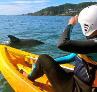 Byron Bay Combo Hinterland Tour Including Minyon Falls and Kayaking with Dolphins - Holiday Byron Bay