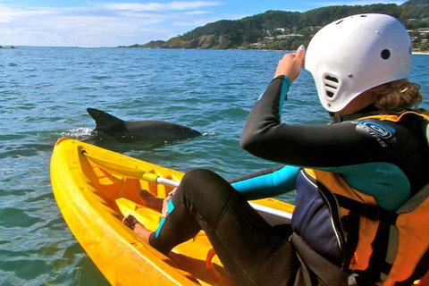 Byron Bay Combo: Hinterland Tour Including Minyon Falls And Kayaking With Dolphins - Holiday Byron Bay 0