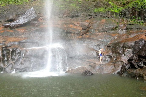 Byron Bay Combo: Hinterland Tour Including Minyon Falls And Kayaking With Dolphins - Holiday Byron Bay 15