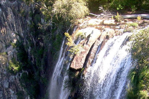 Byron Bay Combo: Hinterland Tour Including Minyon Falls And Kayaking With Dolphins - Holiday Byron Bay 20