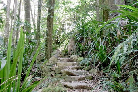 Byron Bay Combo: Hinterland Tour Including Minyon Falls And Kayaking With Dolphins - Holiday Byron Bay 4