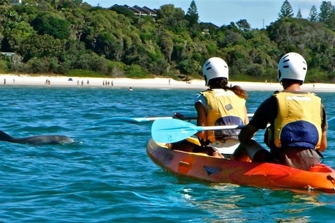 Byron Bay Combo: Hinterland Tour Including Minyon Falls And Kayaking With Dolphins - Holiday Byron Bay 16