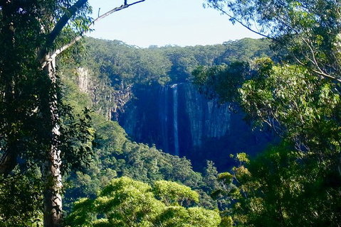 Byron Bay Combo: Hinterland Tour Including Minyon Falls And Kayaking With Dolphins - Holiday Byron Bay 5