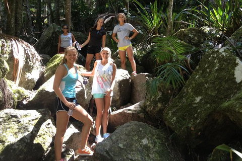 Byron Bay Combo: Hinterland Tour Including Minyon Falls And Kayaking With Dolphins - Holiday Byron Bay 7