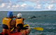 Byron Bay Combo: Hinterland Tour Including Minyon Falls And Kayaking With Dolphins - thumb 18