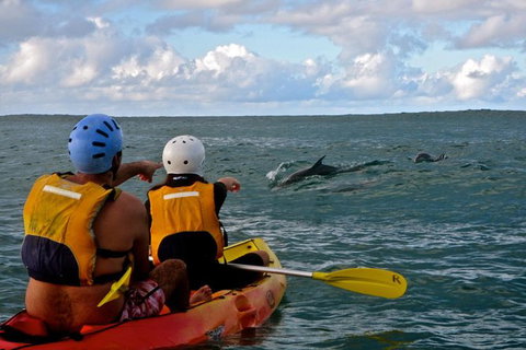 Byron Bay Combo: Hinterland Tour Including Minyon Falls And Kayaking With Dolphins - Holiday Byron Bay 18
