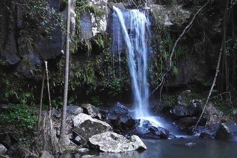 Personal, Private Chauffeur Driven Guided Tours - Holiday Byron Bay 1