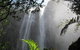 Minyon Falls Rainforest Walk - thumb 0