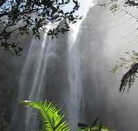 Minyon Falls Rainforest Walk - Holiday Byron Bay