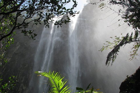 Minyon Falls Rainforest Walk - Holiday Byron Bay 0
